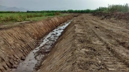 Imagen Servicios